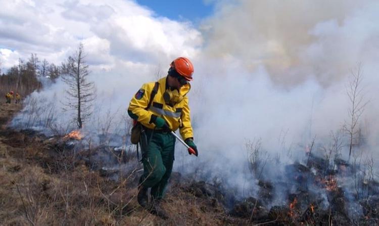 За неделю в 39 регионах России потушено 627 лесных пожаров