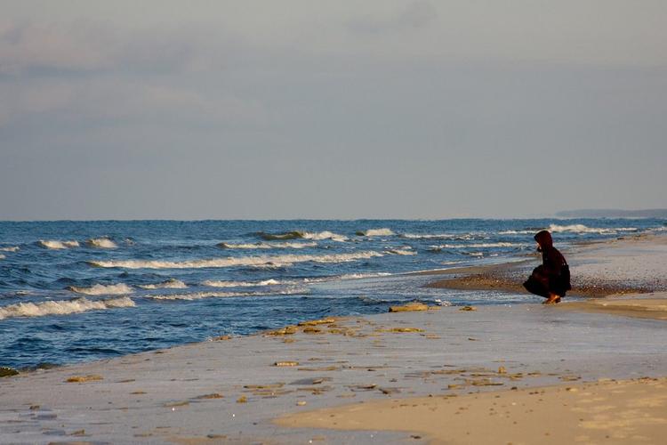 Жителям Калининградской области разрешили посещать дикие пляжи