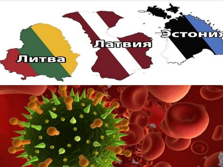Страны Прибалтики достигли успехов в борьбе с коронавирусом