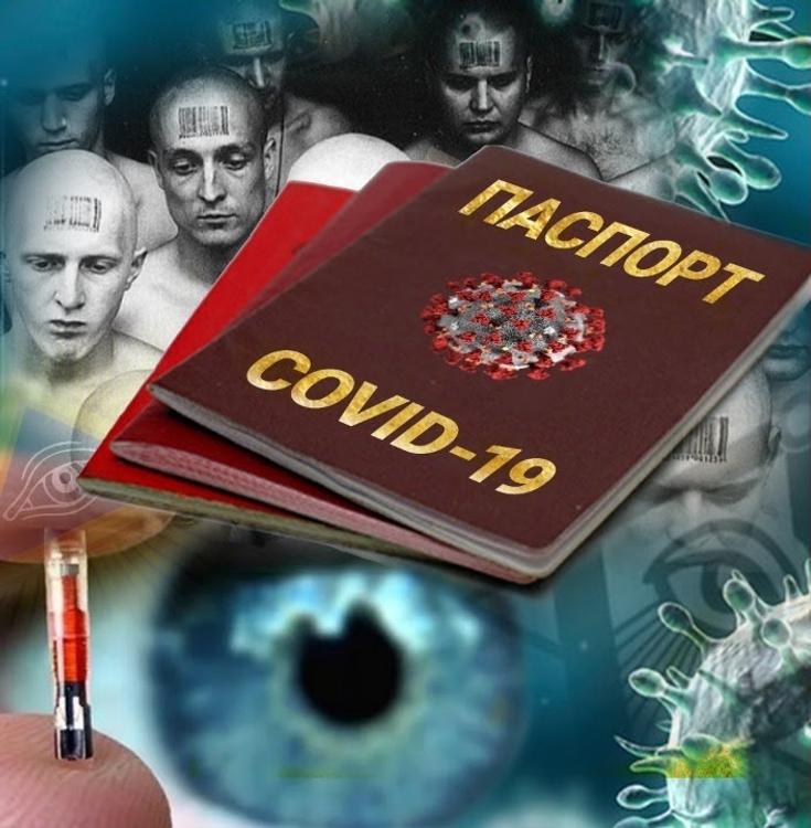 Достаю из широких штанин: зачем в Европе хотят ввести иммунный паспорт 