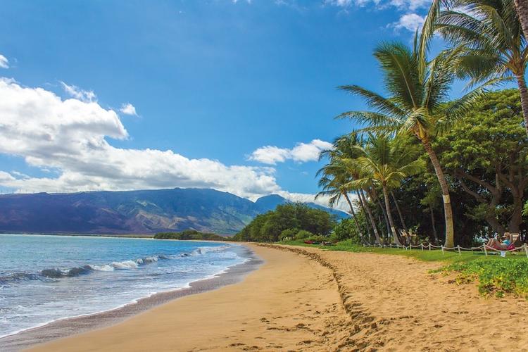 На Гавайях туриста арестовали за селфи на пляже в период карантина