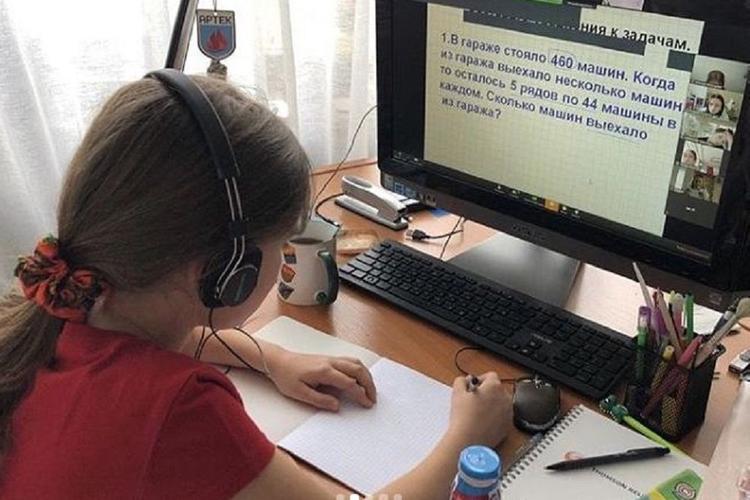 В России может появиться новый сервис для дистанционного обучения школьников