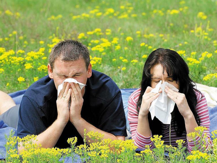 Латвийский врач: Наступает время аллергии