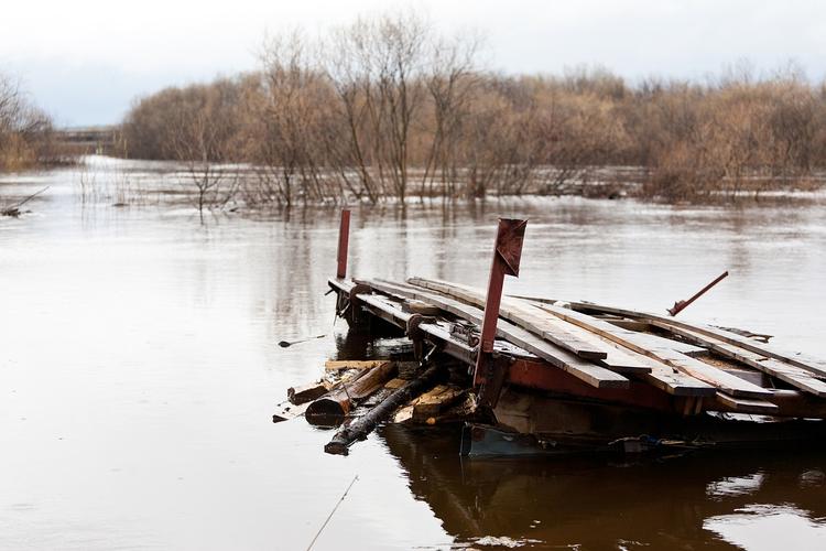 Республика Коми: в большинстве районов начался спад воды после паводка 