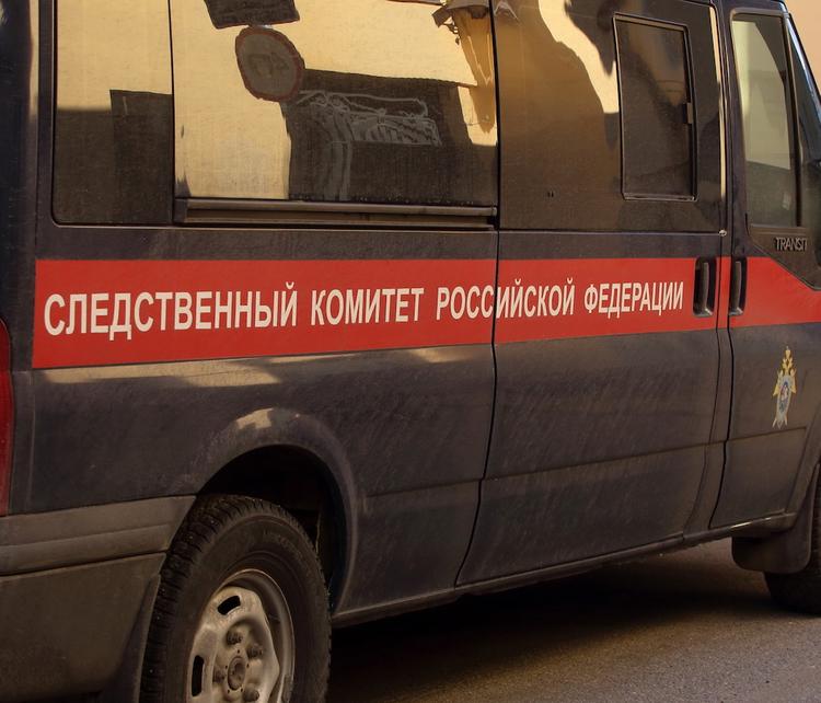Мать с ребенком погибли, провалившись в септик под Красноярском