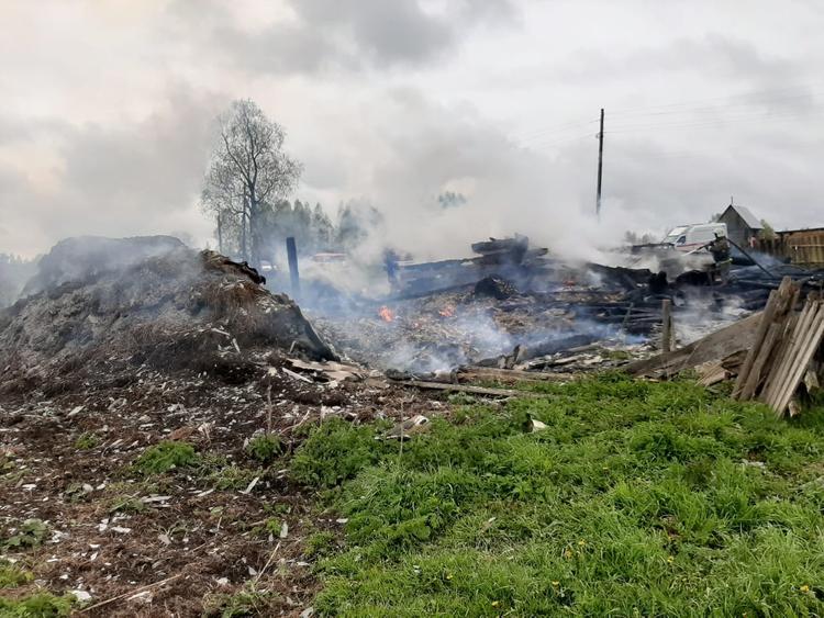 Трое маленьких детей погибли при пожаре в доме в деревне Тараканово Угличского района