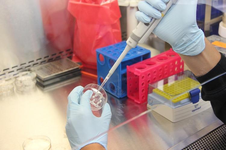 На Украине нашли восемь американских лабораторий с опасными инфекциями 