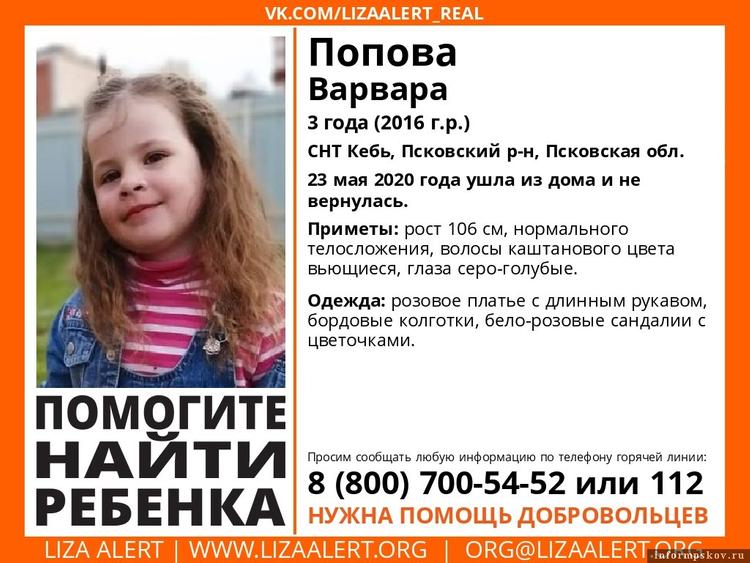 В Псковской области продолжают искать пропавшую на даче девочку