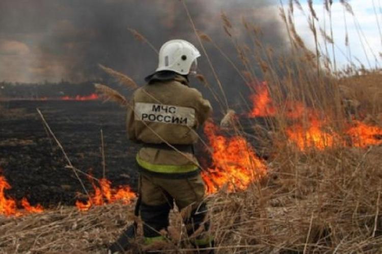 В России из-за природных пожаров с начала года сгорело более 250 домов