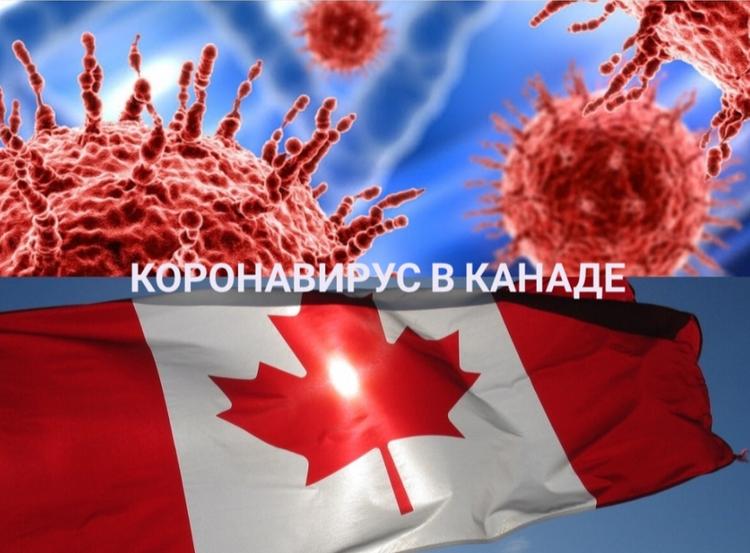 Правительство Канады ​ не допустило американского сценария эпидемии и материально помогло всем своими гражданам​