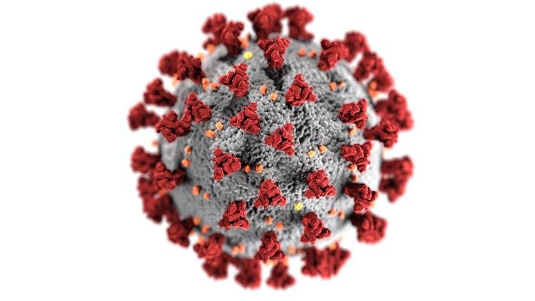 Вирусолог прокомментировал «новую» версию происхождения коронавируса COVID-19:  «Все  произошло естественным путем»