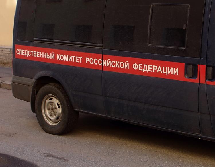 СК направил криминалистов в Крым для поиска пропавшей шестилетней девочки