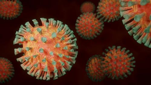 Ученые: коронавирус проникает напрямую в сердце и быстро там размножается 