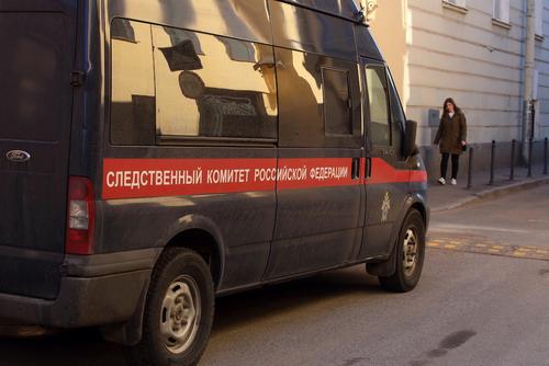 В Калининграде завели уголовное дело после падения женщины с ребенком на руках в люк