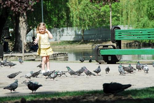 В Краснодарском крае в субботу открываются парки и набережные