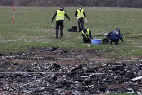 Политолог: суд не учтет тот факт, что свидетели видели истребители при крушении MH17