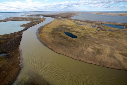 Эколог оценил работы по очищению реки в Норильске от дизтоплива