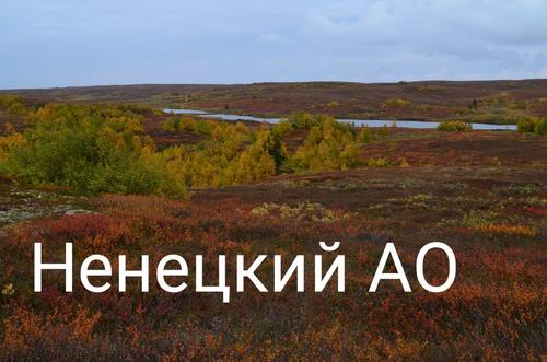 Население Ненецкого автономного округа: численность, гендерная и возрастная структура, прогноз до 2024 года