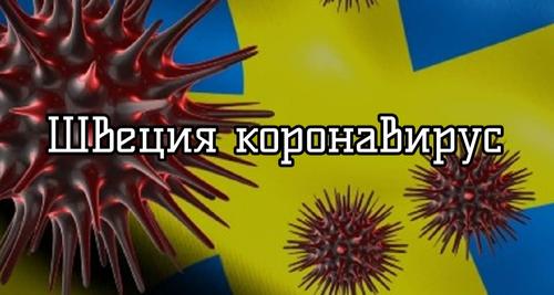 «Игнором вирус не прогнать». Шведская модель борьбы с коронавирусом не привела к улучшению ситуации