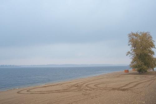 Власти Великого Новгорода запретили жителям посещать пляжи