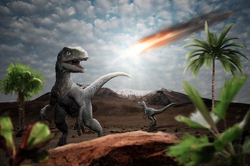Палеонтологи обнаружили в Японии скорлупу самого маленького известных науке яиц динозавров