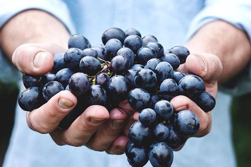 Российским вином будет считаться напиток, произведенный из отечественного винограда