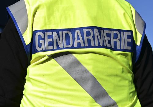 Во Франции жандармы приехали на вызов и «отловили» плюшевую пантеру