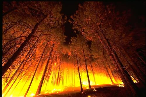 Площадь лесных пожаров в ХМАО за минувшие выходные удвоилась