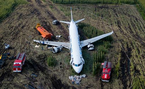 Жительница Тверской области рассказала, как она выжила после жесткой посадки самолета на кукурузное поле