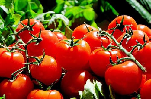 Почему летом вдруг может вырасти цена на помидоры, рассказал эксперт