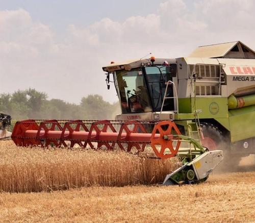 На Кубани собрали больше 9,4 миллиона тонн зерновых