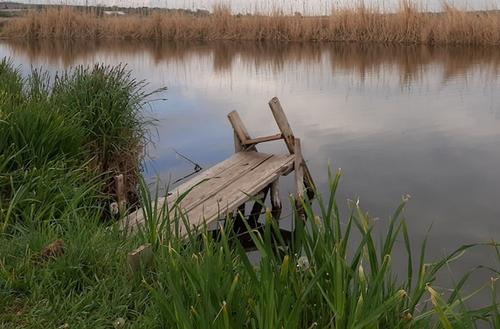 В Башкирии обнаружили в реке тело пропавшей 19 июля девочки