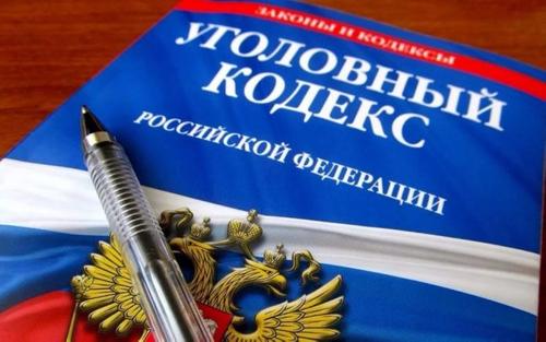В России могут ввести в УК РФ новую статью за налоговое мошенничество