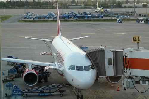 Чартерные рейсы из России в Турцию могут разрешить с 10 августа