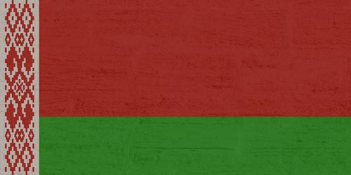 В Белоруссии разъяснили меры по усилению оперативного прикрытия границы с Россией 