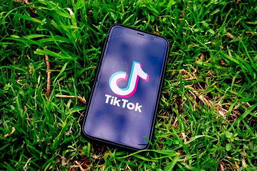 Microsoft приостановила переговоры о приобретении TikTok из-за позиции Трампа 