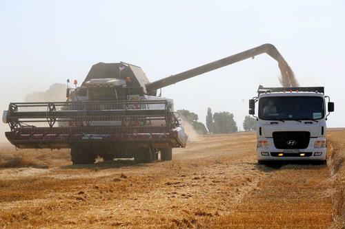 В Ростовской области собрали самый большой урожай зерна в России