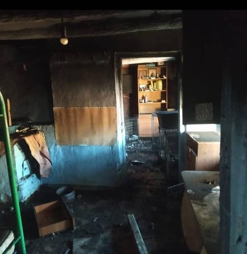 Во время пожара в частном приюте в Темрюке погибли животные и имущество