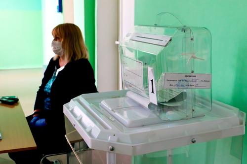 ЦИК не пропустил на выборы в Челябинской области «Возрождение России» и «Яблоко»