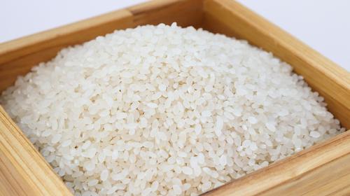 Ученые рассказали, чем может быть опасен рис
