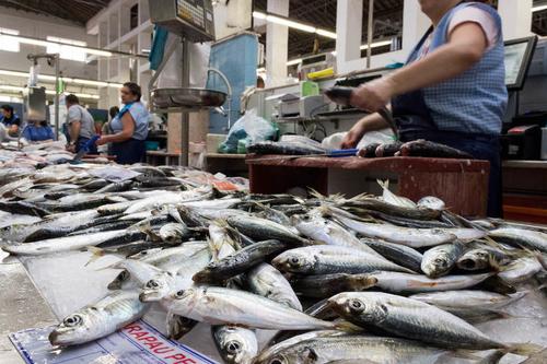 В августе в Хабаровском крае начнутся поставки «доступной рыбы»