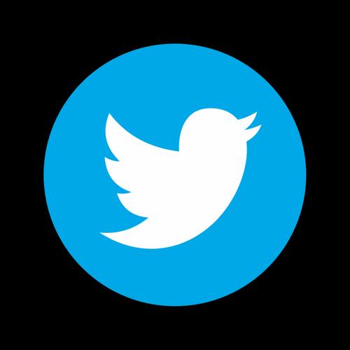 Компания Twitter может купить часть TikTok