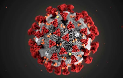 В мире за сутки выявлен рекордный прирост смертей от коронавируса COVID-19 с апреля