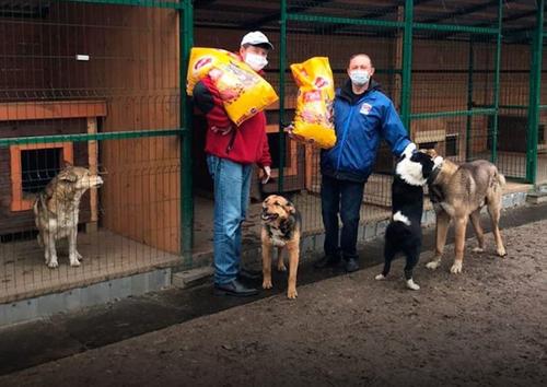 С начала акции «Лучший друг» в Москве собрано 2,5 тонн кормов для бездомных животных
