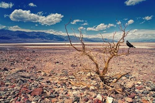 В Долине Смерти зарегистрировали самую высокую температуру на планете