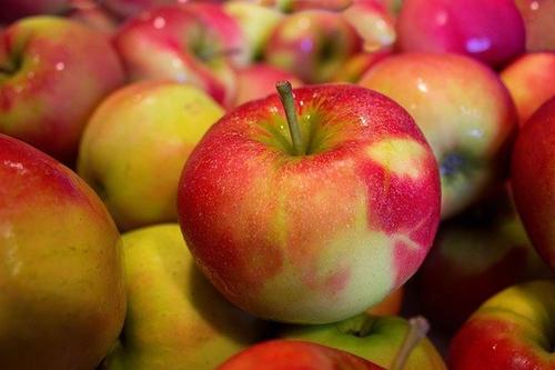 Кандидат медицинских наук рассказал, как получить максимальную пользу от яблок