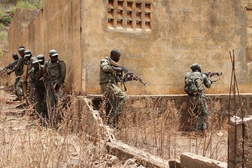 Внешние границы Мали закрыты, в стране введен комендантский час