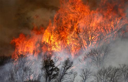 Калифорнию могут сожрать лесные пожары
