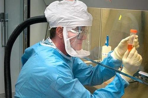 Россия и Китай могут начать совместные исследования коронавируса