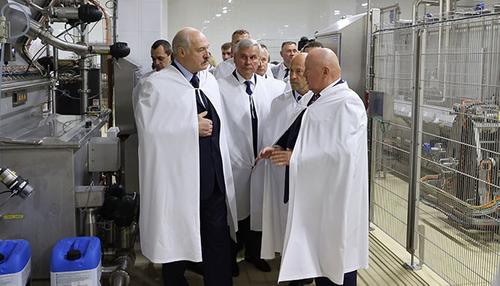 Белорусские предприниматели отреагировали на слова Лукашенко о «подлом» частном бизнесе 